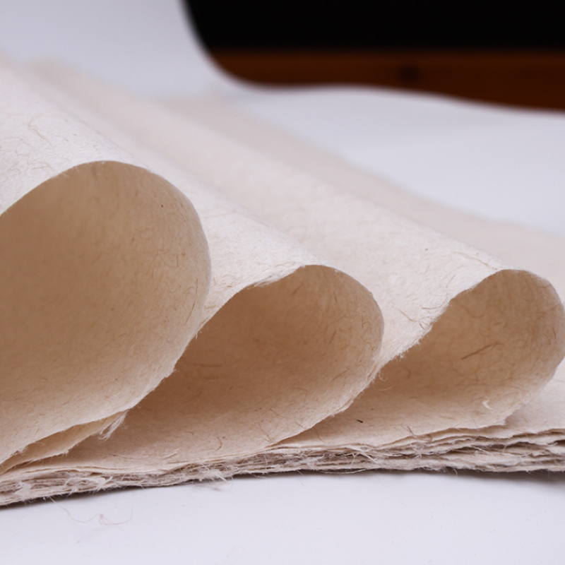 Papier de mûrier pur chinois f - Ink Blotter Paper avis et prix
